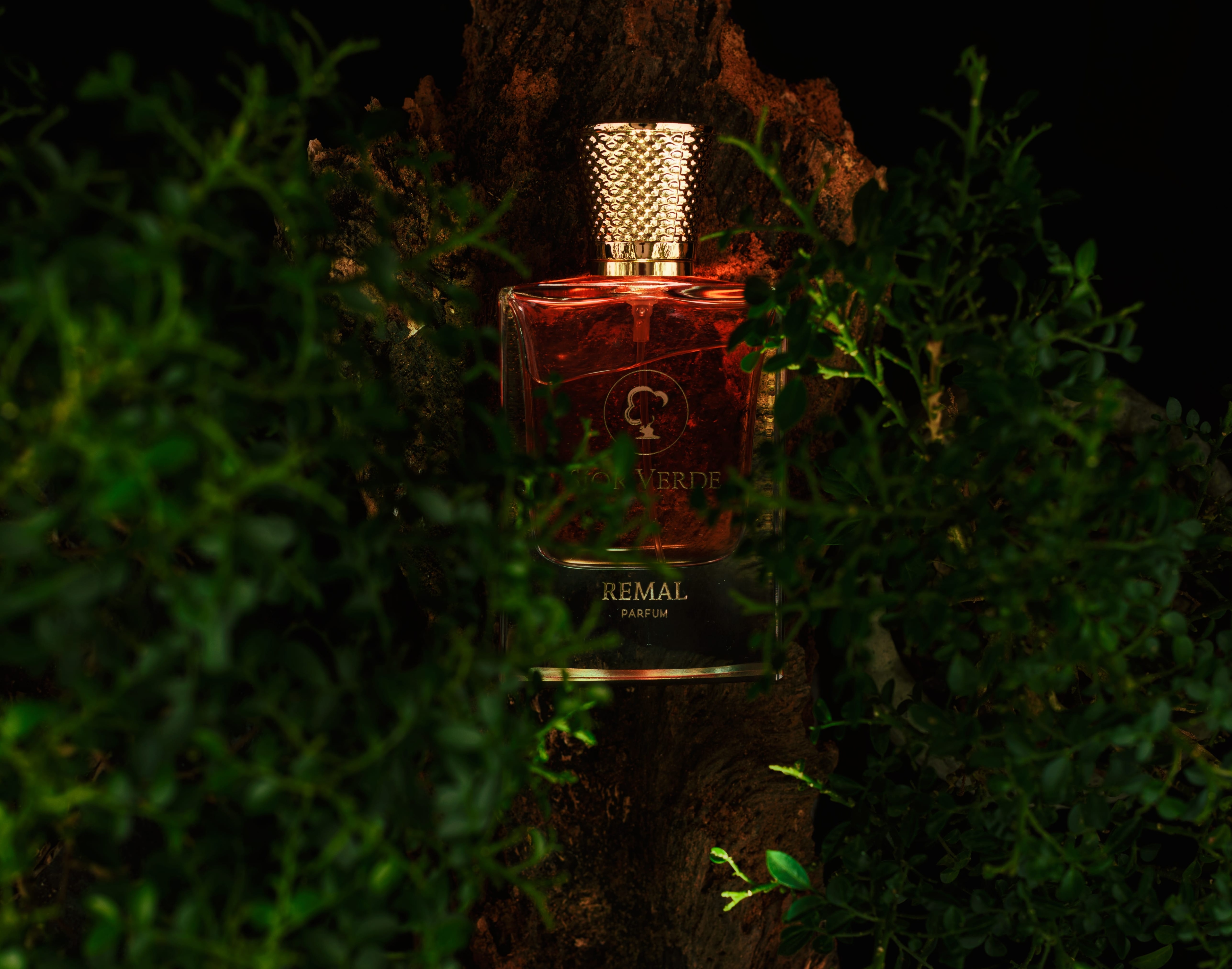 Cookies and tracking